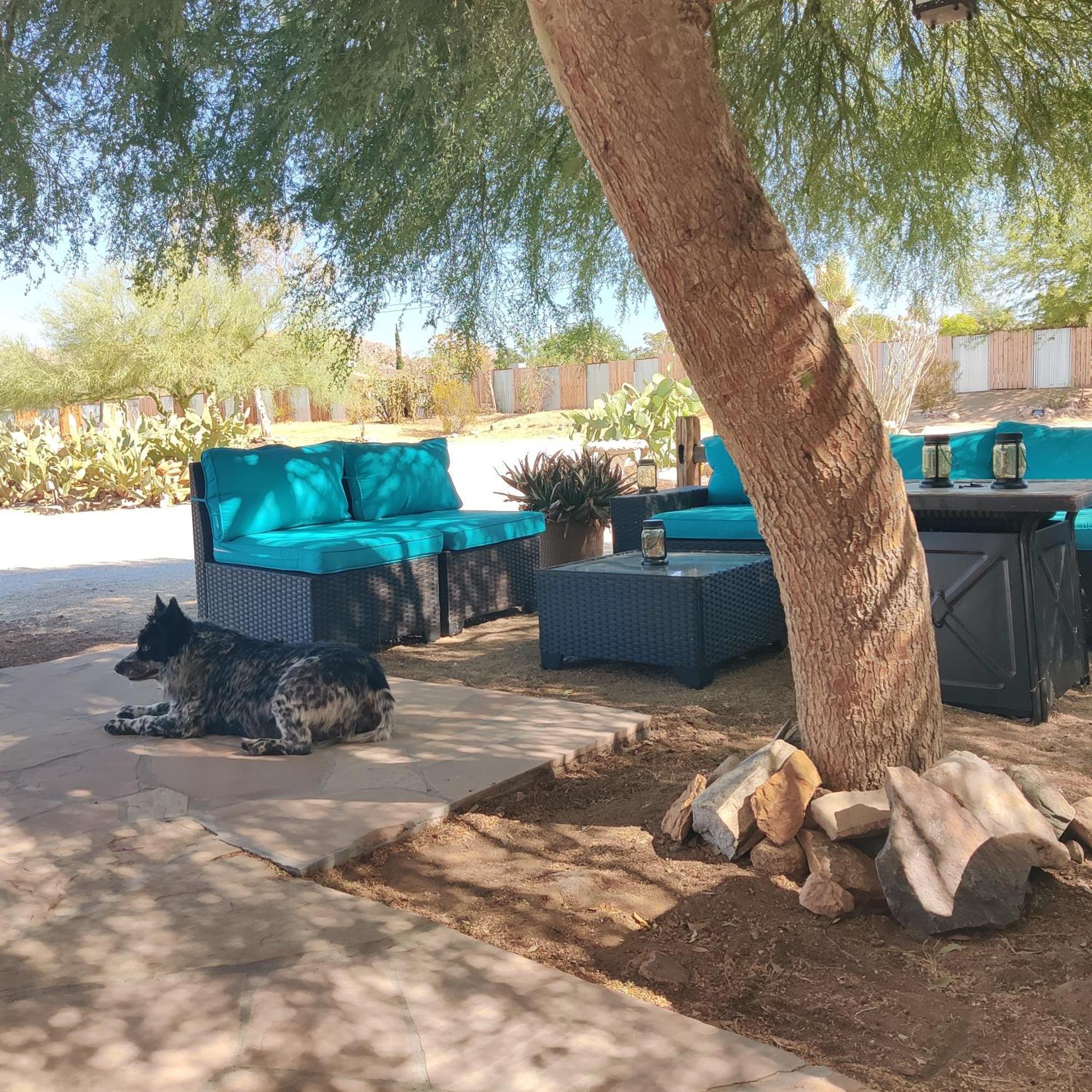 Joshua Tree Ranch House Motel - Downtown - Room #4 Exterior photo